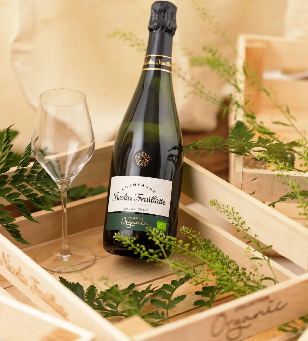 Boutique Shopify Nicolas Feuillatte